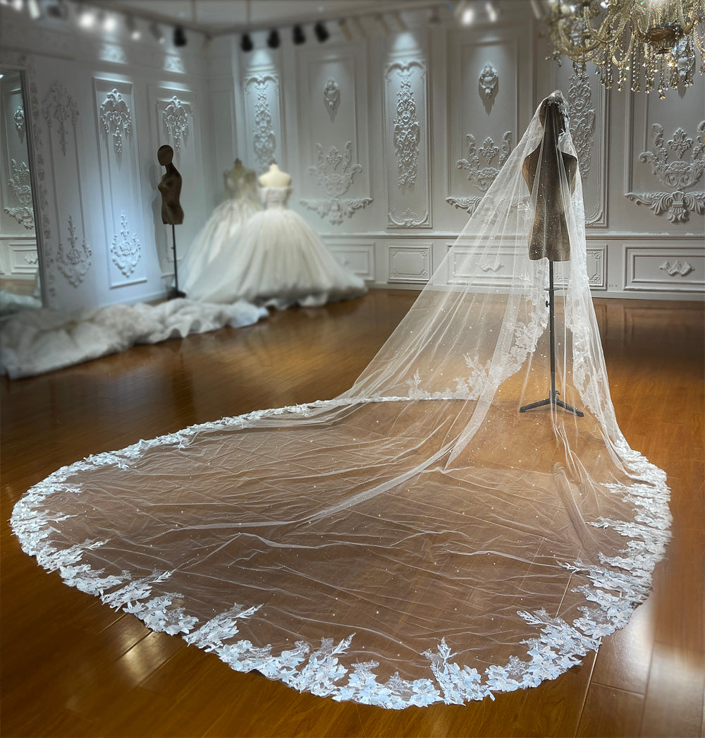 NS4829 veil - 图片 3